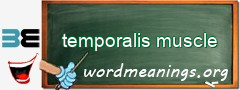WordMeaning blackboard for temporalis muscle